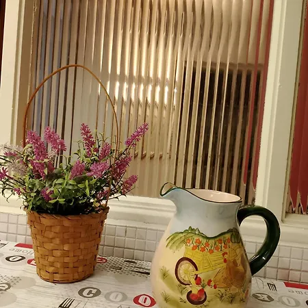 Casa Timo *